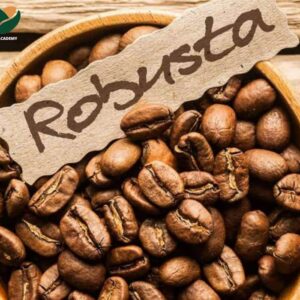 Hạt Cà Phê Robusta