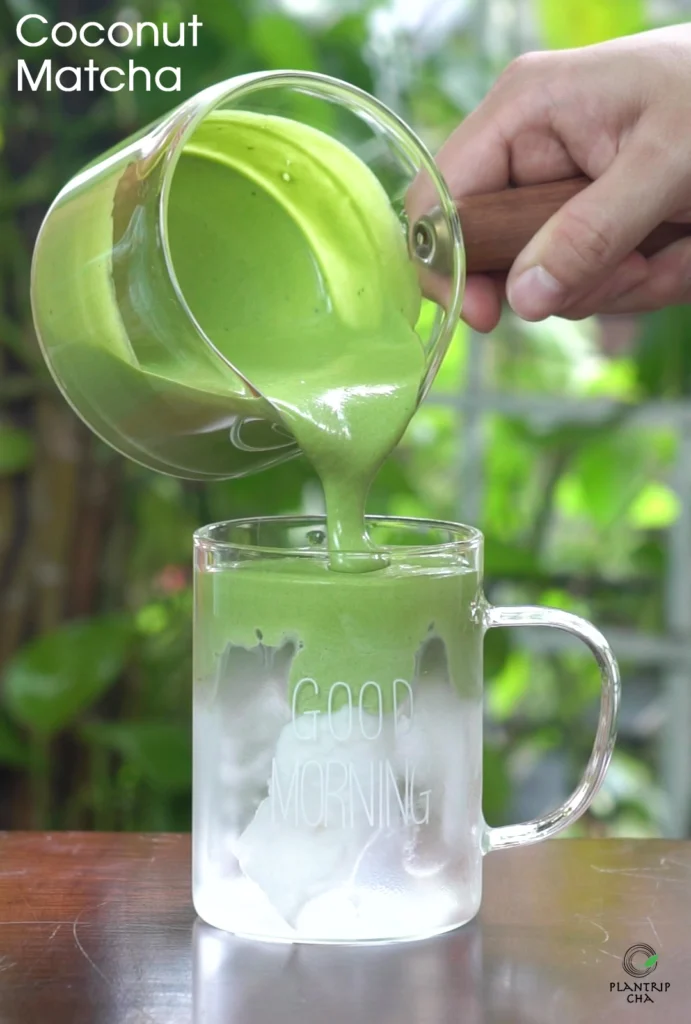 Matcha Coconut